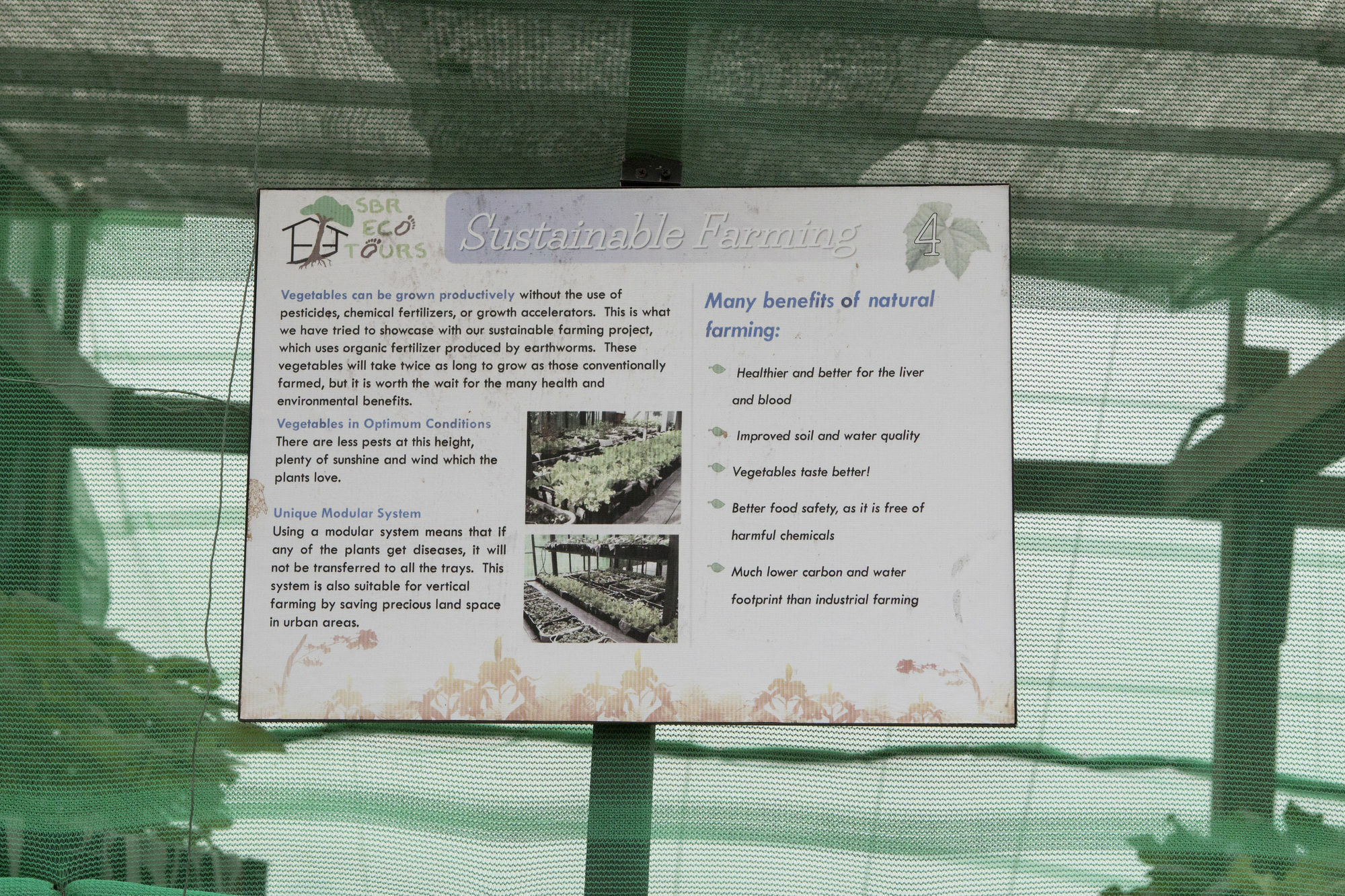 סינגפור Siloso Beach Resort - Sentosa מראה חיצוני תמונה